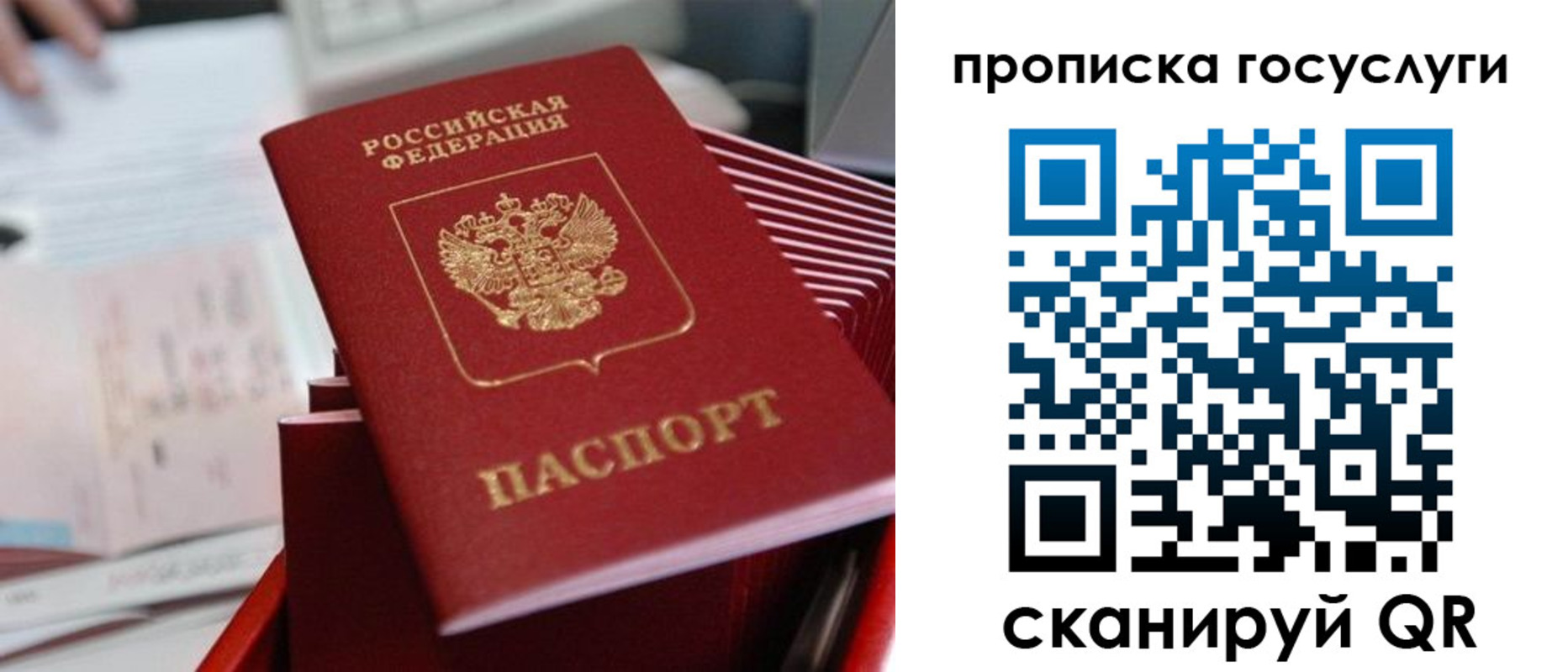 прописка законно в Ермолино